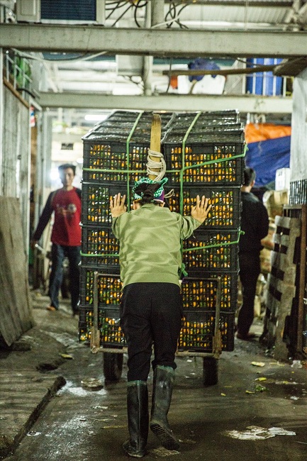 long bien market hanoi transporting fruits
